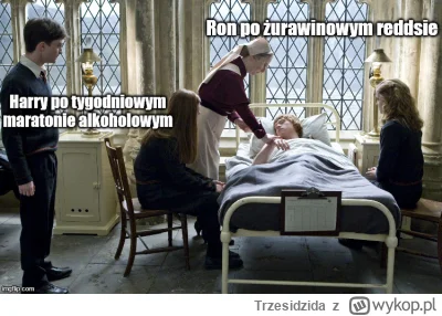 Trzesidzida - #harrypotter