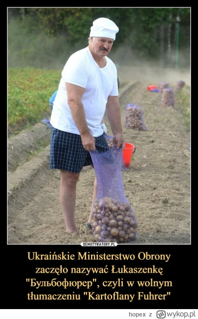 hopex - Przecież dowodzi nimi bulbofurer, to nic dziwnego