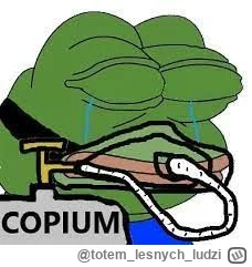 totemlesnychludzi - @BlackenedBlue: ale kołpak