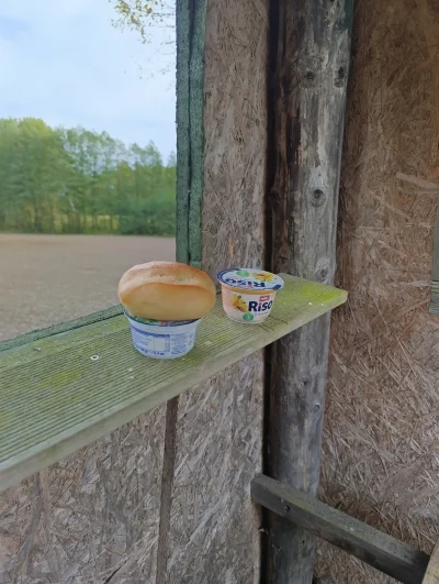 ryoku88 - #przegryw jem posiłki na ambonie bo nie mam takiego życia jak inni