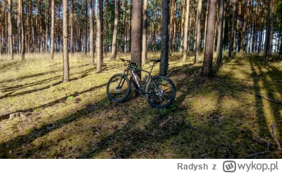 Radysh - #rower #las #kleszcze 

Jeśli włóczycie się po lasach to uważajcie na kleszc...