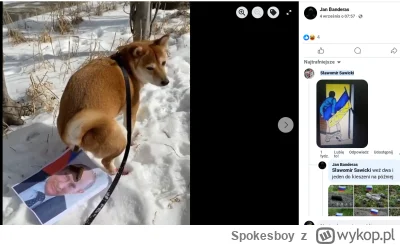 Spokesboy - #polskieonuce #zwierzęta 
proponuje coś mu napisać xD