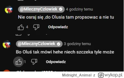Midnight_Animal - Komentarze pod jednym z dzisiejszych filmów na kanale pieluchowy cz...