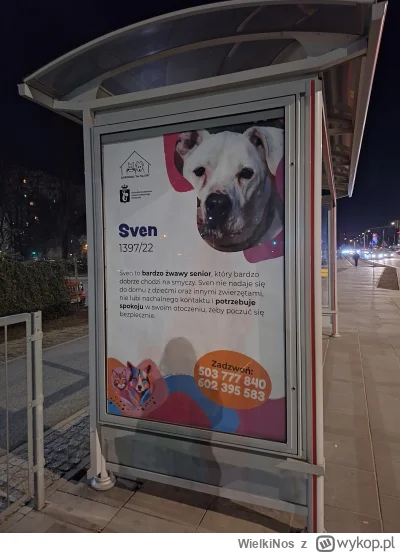 WielkiNos - Warszawa, środek miasta, wiata przystankowa i plakat z jakimś agresywnym ...