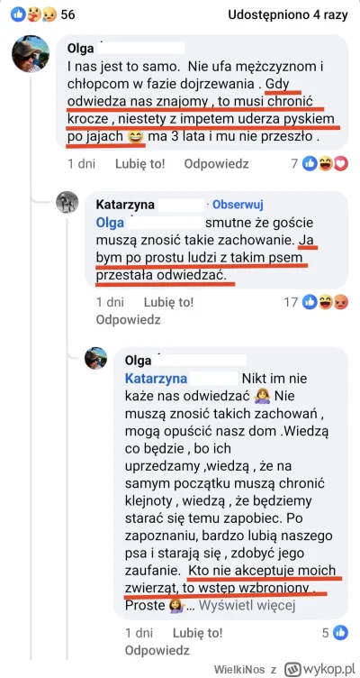 WielkiNos - Psiara się chwali, że jej pies atakuje gości płci męskiej i powoduje zagr...
