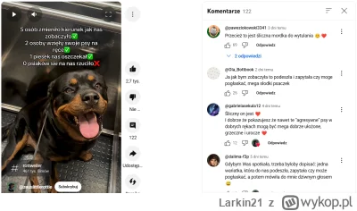 Larkin21 - i 90% komentarzy jaki mordka słodka do wygłaskania xD
#psiarze #bekazpodlu...