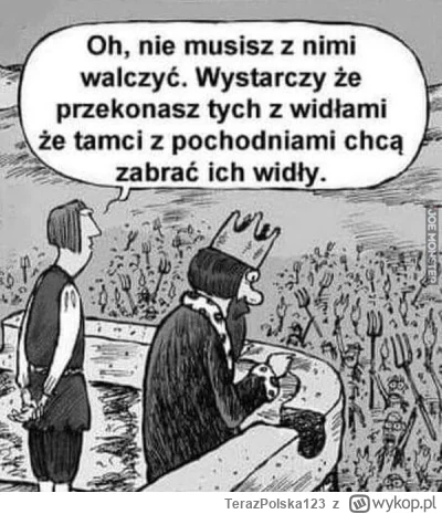 TerazPolska123 - ojej znowu milion teorii spiskowych, facet zagorzały nienawistnik PI...