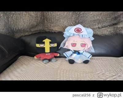 pascal256 - @pascal256: