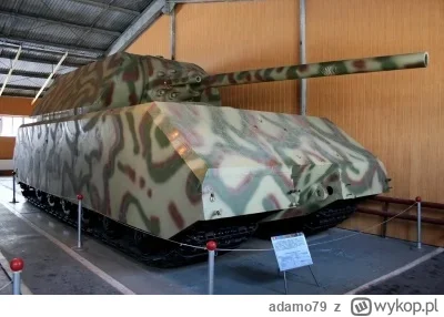 adamo79 - Na zdjęciu Maus w Muzeum Czołgów w Kubince...