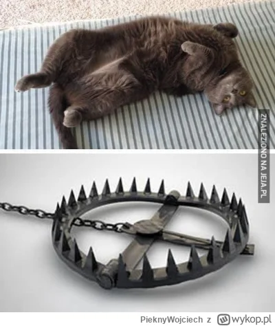 PieknyWojciech - @Momento83: