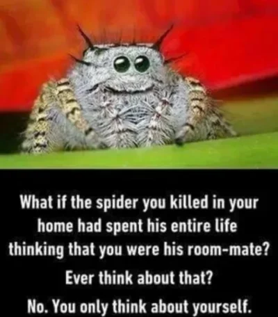 PurpleShirtedEyeStabber