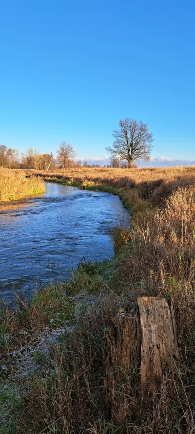 Arvin - #spierdotrip Wszyscy mają śnieg, a w południowej piekielni dalej ani płatka e...
