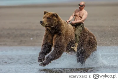 szarytkarz - @AzazulPazuzu mogli wspólnie pojeździć na niedźwiedziach na Alasce