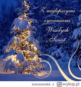 tommmekk - Wszyskim Mirabelkom, Mireczkom życzę zdrowych i radosnym Świąt Bożego Naro...