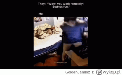 GoldenJanusz - ja na zdalnej
#przegryw #pracbaza