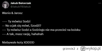 grzesix2 - #siatkowka