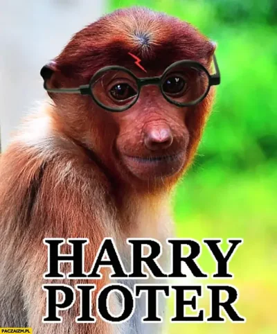 koneserprogresywnegodiscopolo - #konkursnanajbardziejgownianymemznosaczem 
musze repo...