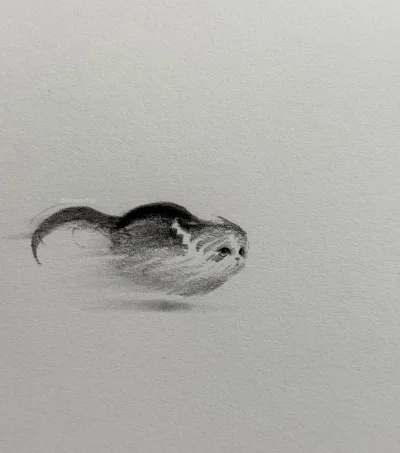 SzubiDubiDu - @wfyokyga: