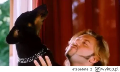 etepetete - #famemma Pitbull Boxdela okazał się...........