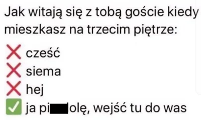 Vegasik69 - #heheszki