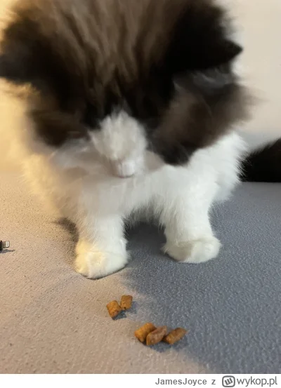 JamesJoyce - @JamesJoyce trzeba było zamienić vifona na drimisy