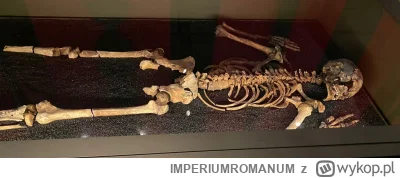 IMPERIUMROMANUM - Szkielet żołnierza z Herkulanum

Szkielet żołnierza z Herkulanum, k...