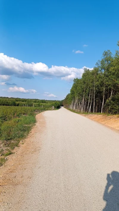 cultofluna - >szutry premium, takie najlepsze możliwe, takie co w Finlandii byłyby dr...