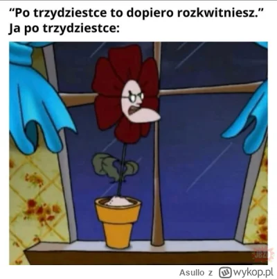 Asullo - Jeszcze rok 
#heheszki #humorobrazkowy #przegryw