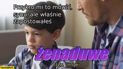 Tommy__ - @SzejdiSlimSzejdi: Przecież to co odwalił Mentzen to największy cringe tej ...