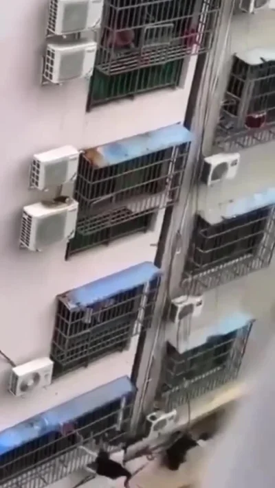 CH3j - Uciekła z klatki ( ͡° ͜ʖ ͡°)
#ch3j #zonabiegaalewolnobiega