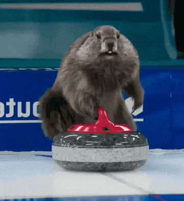 bo-banley - #awanturaokase