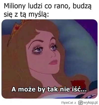 FlyinCat - #heheszki #humorobrazkowy