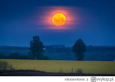 vitoosvitoos - Zachodzący piątkowy księżyc.

Zapraszam zainteresowanych do bloga po w...