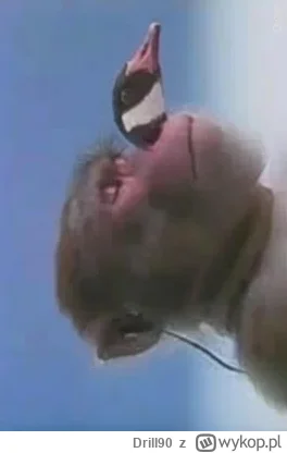Drill90 - @Malpigaj: