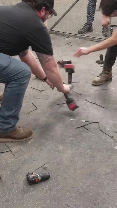 cheeseandonion - #zzr #