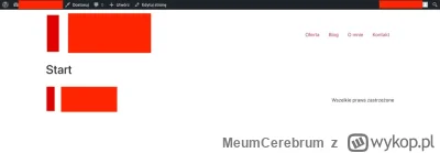 MeumCerebrum - Pomocy, błagam XD Na stronie w Elementorze Pro (+ hello elementor) mam...