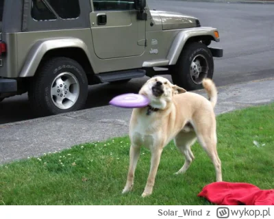 Solar_Wind - @piotrc90: a to wyślę Ci zdjęcie które mnie śmieszy