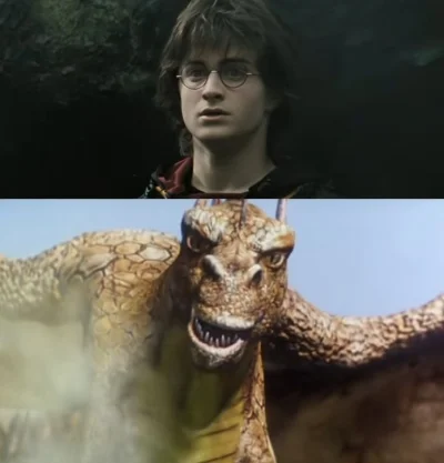 malyatakpaniki - Niezwykłe cgi jak na tamte czasy #harrypotter