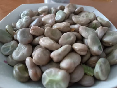 widzialapan - #przegryw 
Chłop nie wierzy w Boga to sobie chociaż opitoli boba.