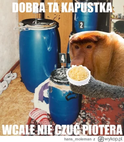 hans_moleman - #konkursnanajbardziejgownianymemznosaczem