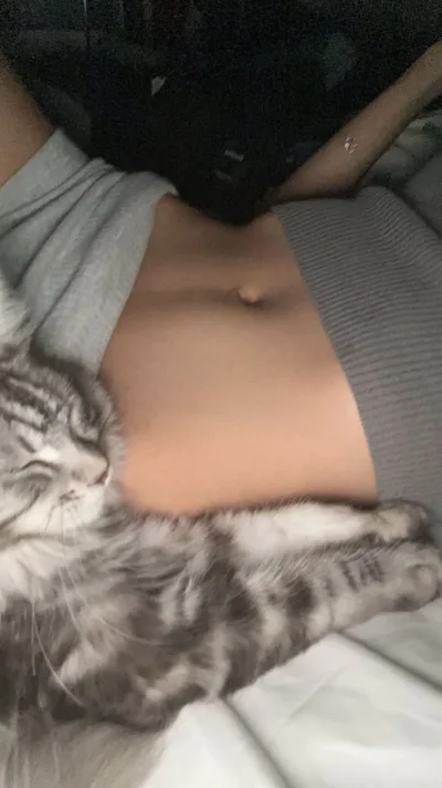 Kushina - fajnego mam khotka? 

#koty #pokazkota #kitku