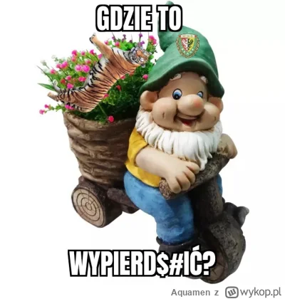 A.....n - O no to pora wsadzić kij w mrowisko. 

CAŁA POLSKA W CIENIU ŚLĄSKA AUUUUU

...