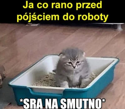 SanczoPansaFromVillage - #dziendobry