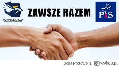 BoskiPrototyp - Szanowni Państwo, pozwólcie, że wyłożę rzecz w sposób jasny i nie poz...