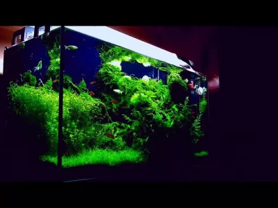 HorrorystycznyDemonPagona - Jedna z niewielu rzeczy, która mi się udała w życiu, to s...