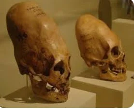 f.....d - @Turtle1380: a może ty jesteś annunaki potomek bogów?