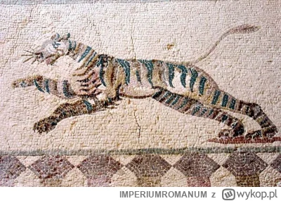 IMPERIUMROMANUM - Jak Rzymianie polowali na tygrysy?

W czasach rzymskich myśliwi pol...