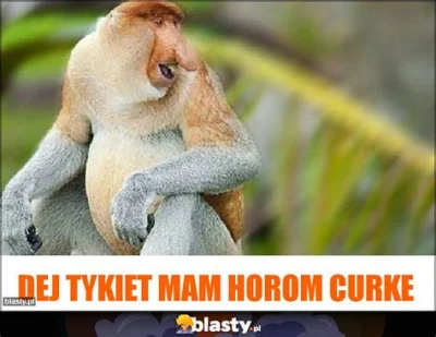 pablo4096 - @Plecak-Ewakuacyjny_pl