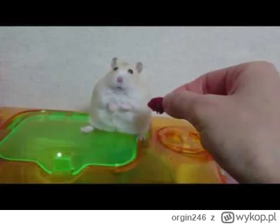 orgin246 - Skoro Metal Gear Solid 3 wyszedł ponownie to chciałem się podzielić jednym...