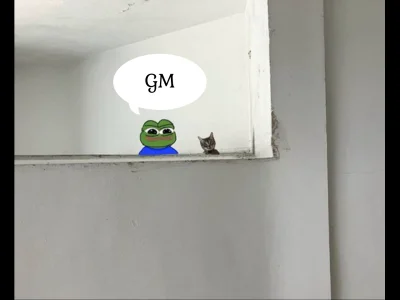 Noicozezebowniema - @wybryk_natury: